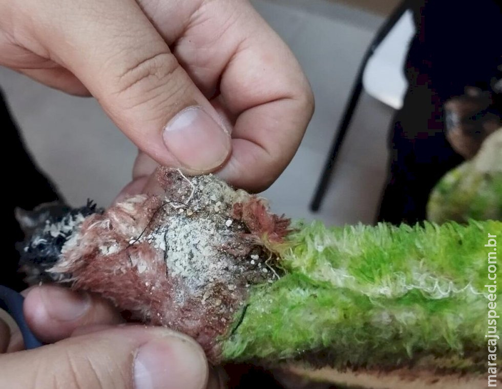 Com cocaína costurada em cobertor, mulher é presa quando tentava entrar em presídio de MS Com cocaína costurada em cobertor, mulher é presa quando tentava entrar em presídio de MS