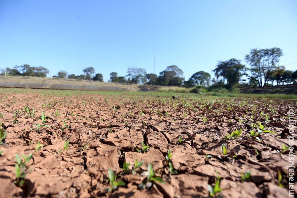 Confira a previsão do tempo para este sábado em algumas regiões de Mato Grosso do Sul Confira a previsão do tempo para este sábado em algumas regiões de Mato Grosso do Sul