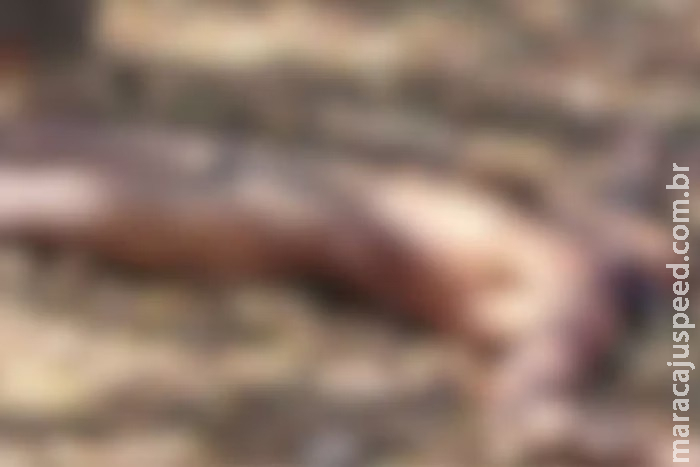 Corpo decapitado é encontrado nu em represa; cabeça estava na mata Corpo decapitado é encontrado nu em represa; cabeça estava na mata