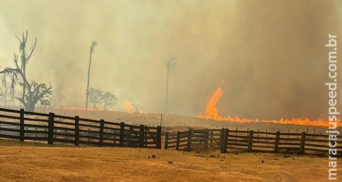 Focos de incêndio avançam e queimadas crescem em área rural em Camapuã Focos de incêndio avançam e queimadas crescem em área rural em Camapuã