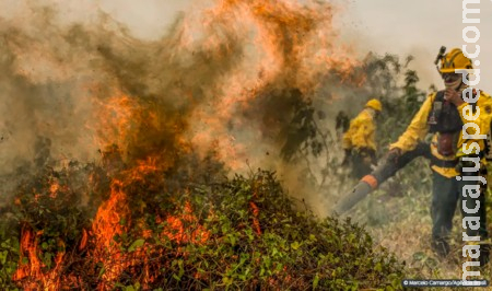 Fogo já consumiu 1,3 milhão de hectares e volta a aumentar no Pantanal Fogo já consumiu 1,3 milhão de hectares e volta a aumentar no Pantanal