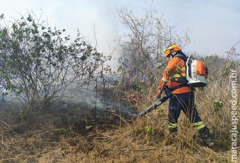 Governo de MS mantém trabalho de extinção das chamas e resgates no Pantanal Governo de MS mantém trabalho de extinção das chamas e resgates no Pantanal