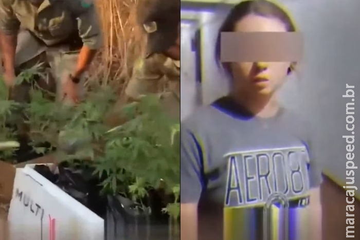 Gringos são presos por plantar maconha em GO Gringos são presos por plantar maconha em GO