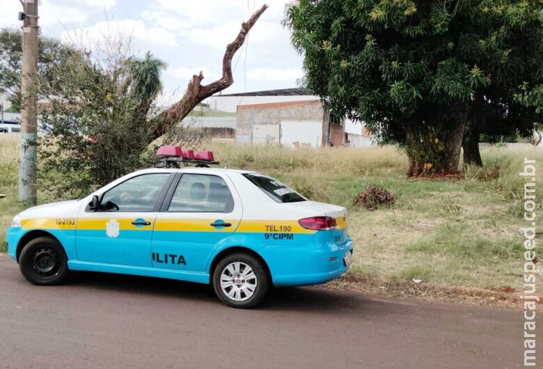 Homem é encontrado morto em terro baldio no Jardim Clímax Homem é encontrado morto em terro baldio no Jardim Clímax