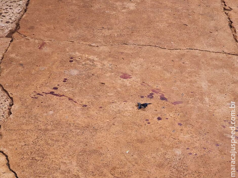Homem é surpreendido e espancado por dupla a socos e chutes na Vila Aimoré Homem é surpreendido e espancado por dupla a socos e chutes na Vila Aimoré