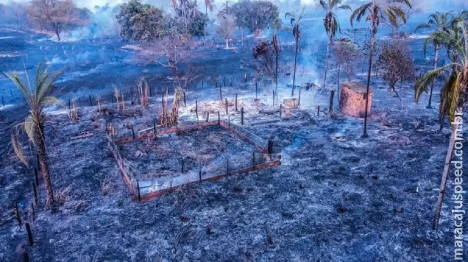 Incêndio destrói mais de 250 hectares de vegetação e casa em fazenda de Figueirão Incêndio destrói mais de 250 hectares de vegetação e casa em fazenda de Figueirão