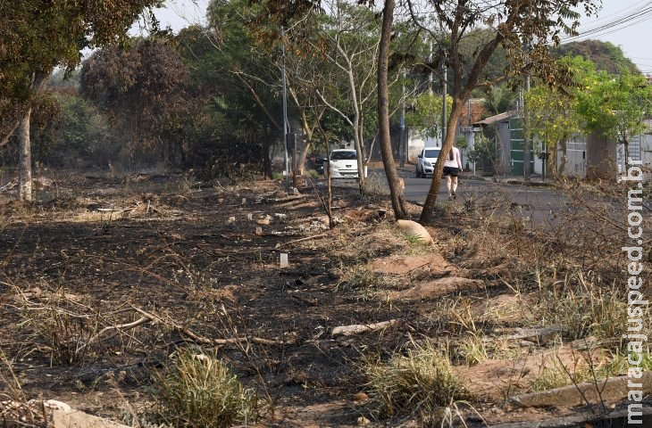 Incêndios florestais em áreas urbanas prejudicam meio ambiente e a saúde da população Incêndios florestais em áreas urbanas prejudicam meio ambiente e a saúde da população