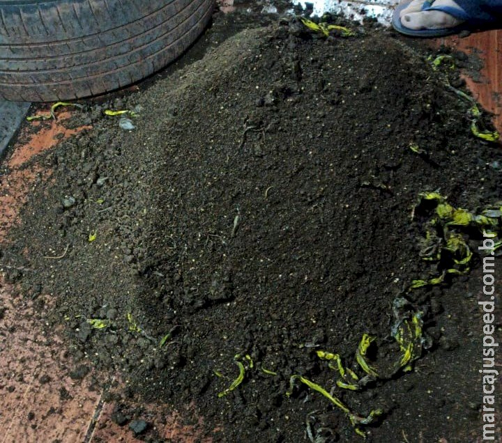 Jovens são flagrados transportando maconha escondida nos pneus de carro em Caarapó e acabam presos pela PRF Jovens são flagrados transportando maconha escondida nos pneus de carro em Caarapó e acabam presos pela PRF
