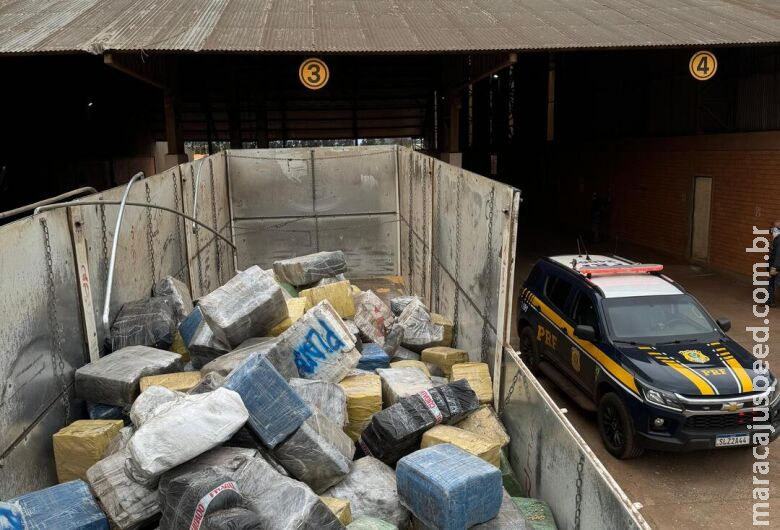 Motorista é preso transportando mais de 10 toneladas de maconha em carga de milho Motorista é preso transportando mais de 10 toneladas de maconha em carga de milho