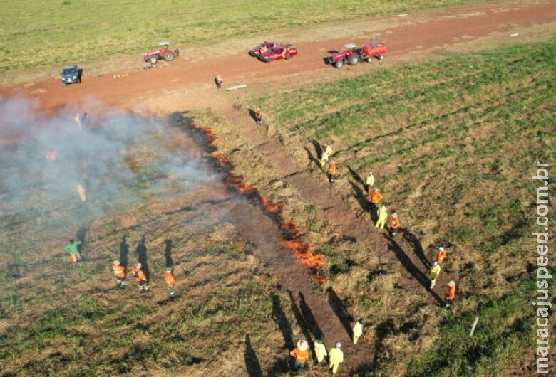 MS se destaca como pioneiro na implementação do Manejo do Fogo MS se destaca como pioneiro na implementação do Manejo do Fogo