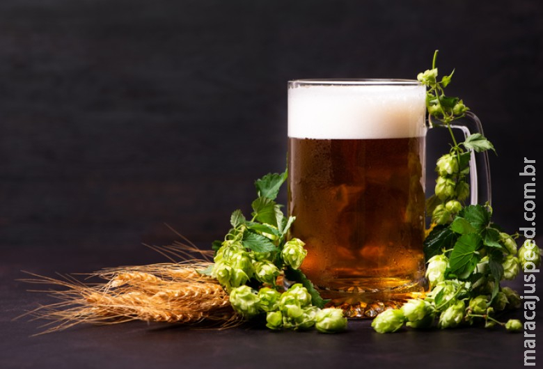 No primeiro semestre deste ano, Brasil exportou 42% a mais o valor de cerveja No primeiro semestre deste ano, Brasil exportou 42% a mais o valor de cerveja