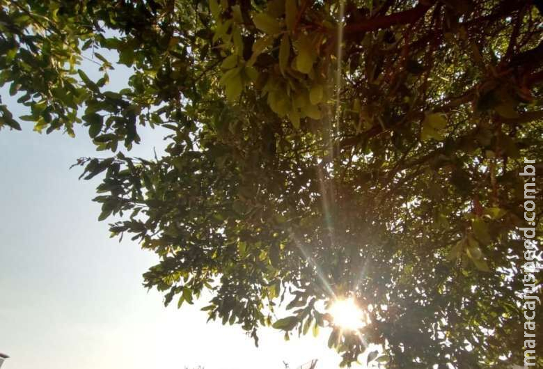 Onda de calor começa hoje e baixa umidade do ar pode chegar a 12% em Dourados Onda de calor começa hoje e baixa umidade do ar pode chegar a 12% em Dourados