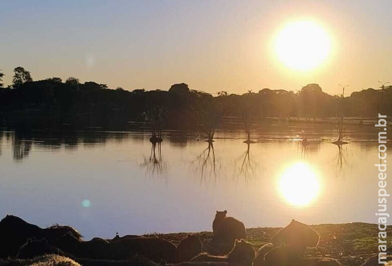 "Onda vermelha": alerta indica dias ainda mais quentes em Dourados até sexta-feira "Onda vermelha": alerta indica dias ainda mais quentes em Dourados até sexta-feira