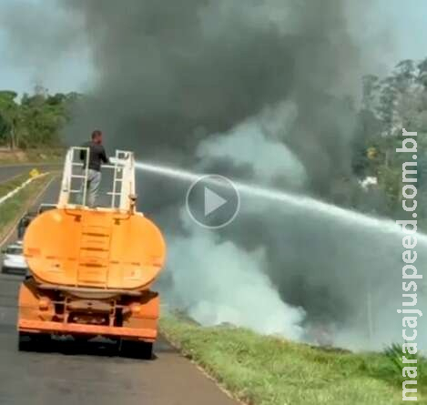 Panela de arroz no fogo provoca incêndio em vegetação Panela de arroz no fogo provoca incêndio em vegetação