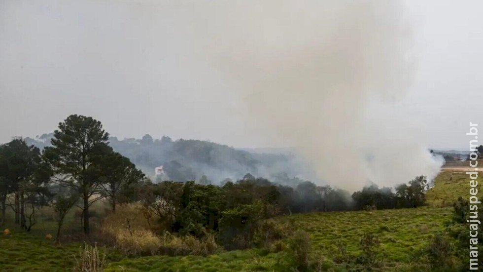 Prejuízo com incêndios em SP pode chegar a R$ 350 milhões para produtores de cana Prejuízo com incêndios em SP pode chegar a R$ 350 milhões para produtores de cana