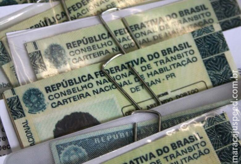 Projeto prevê avaliação psicológica obrigatória para renovar carteira de motorista Projeto prevê avaliação psicológica obrigatória para renovar carteira de motorista