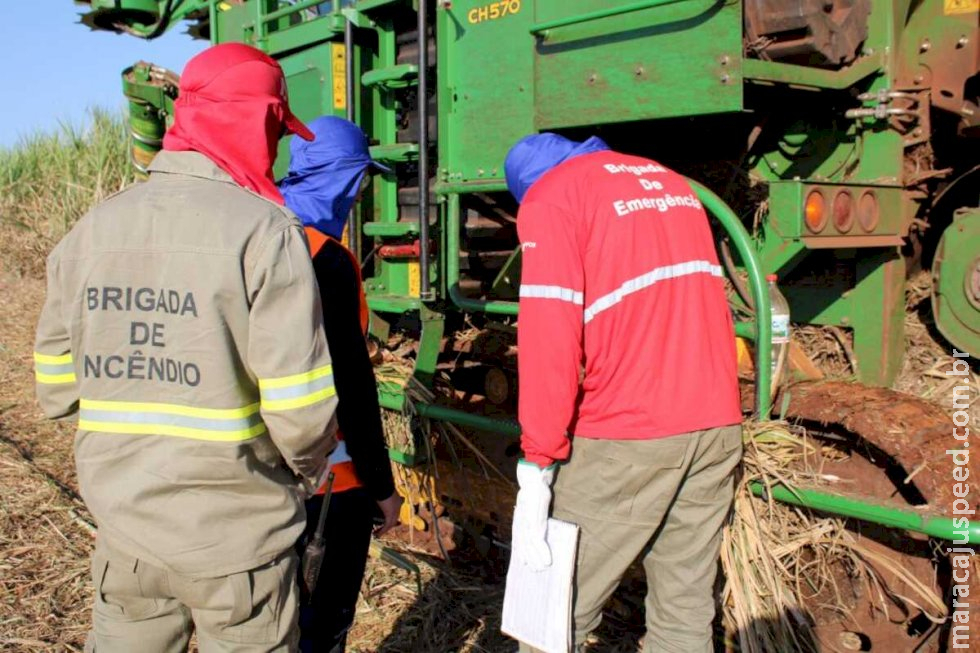 Setor de Bioenergia intensifica ações preventivas contra incêndios em canaviais Setor de Bioenergia intensifica ações preventivas contra incêndios em canaviais