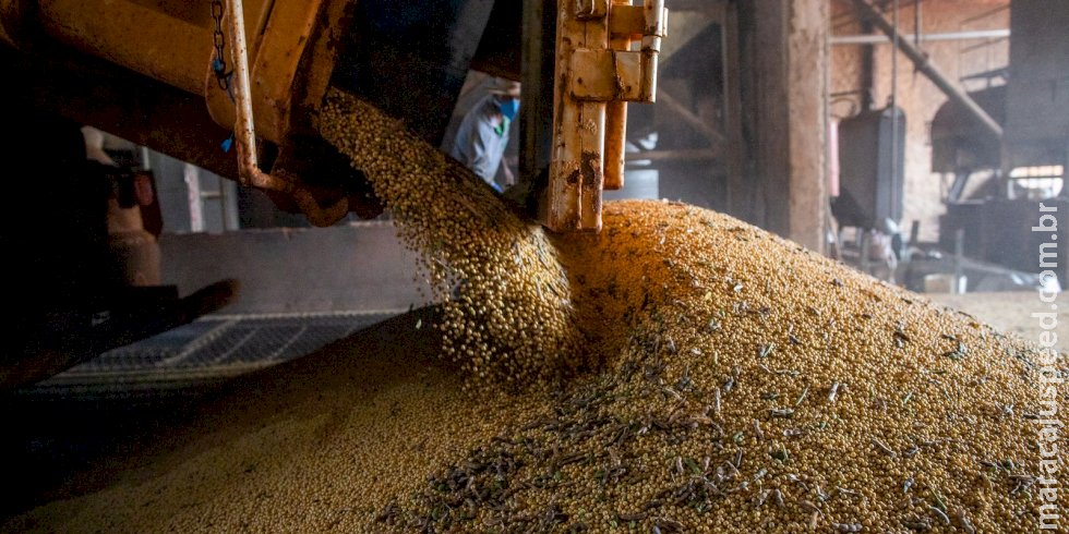 Após seis anos em alta, valor da produção agrícola cai 2,3% em 2023