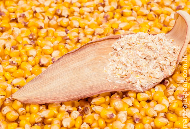 Brasil celebra abertura de mercado na Colômbia para exportação de grãos secos de destilaria Brasil celebra abertura de mercado na Colômbia para exportação de grãos secos de destilaria