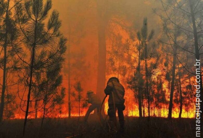 Brasil concentra 76% dos incêndios na América do Sul Brasil concentra 76% dos incêndios na América do Sul