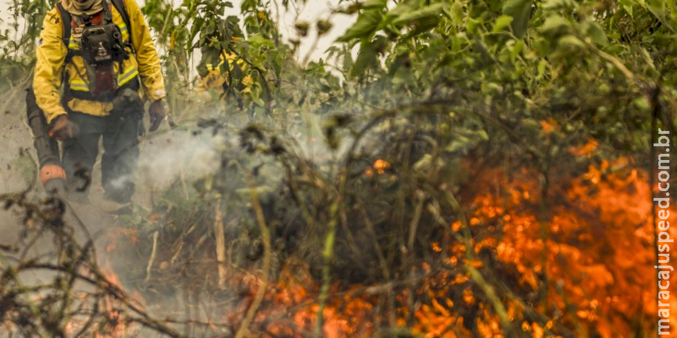 Brasil já registou mais de 154 mil focos de calor este ano Brasil já registou mais de 154 mil focos de calor este ano