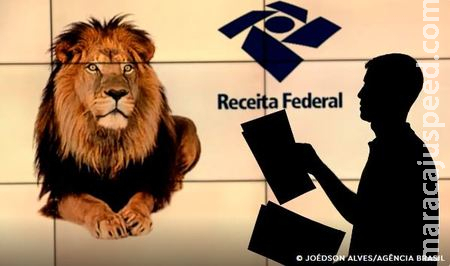 Começa consulta ao último lote de restituição do Imposto de Renda 2024