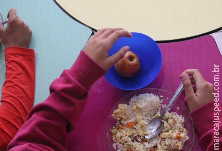 Conselho Nacional de Segurança Alimentar pede reajuste dos valores da merenda escolar em 2025 Conselho Nacional de Segurança Alimentar pede reajuste dos valores da merenda escolar em 2025