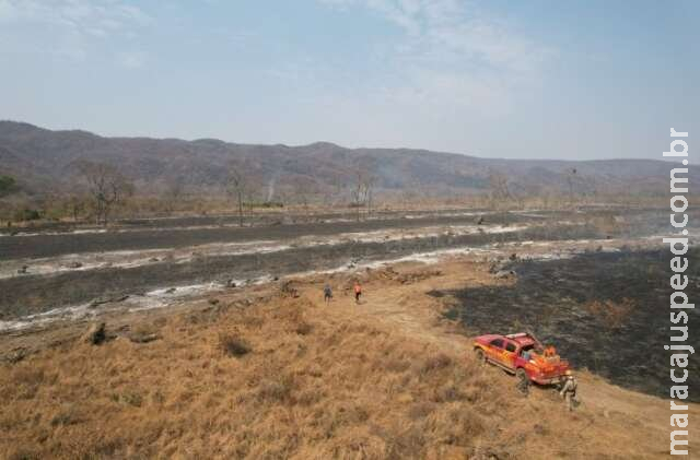 Decreto cria Comitê Nacional de Manejo do Fogo e centro de combate aos incêndios Decreto cria Comitê Nacional de Manejo do Fogo e centro de combate aos incêndios