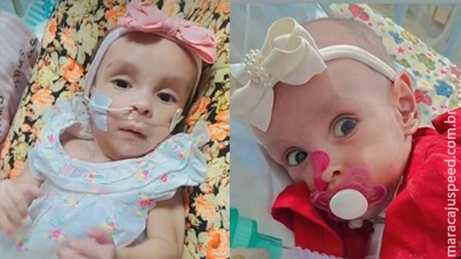 Família faz vaquinha para pagar enterro de Lavínia em Campo Grande Família faz vaquinha para pagar enterro de Lavínia em Campo Grande