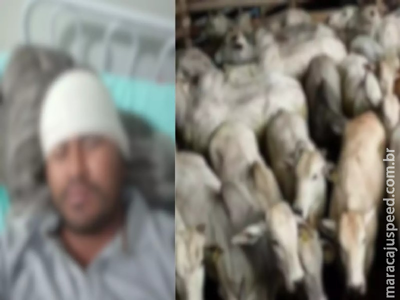 Homem é pisoteado durante manejo de gado em Taquarussu e aguarda há 8 dias por vaga em Dourados Homem é pisoteado durante manejo de gado em Taquarussu e aguarda há 8 dias por vaga em Dourados
