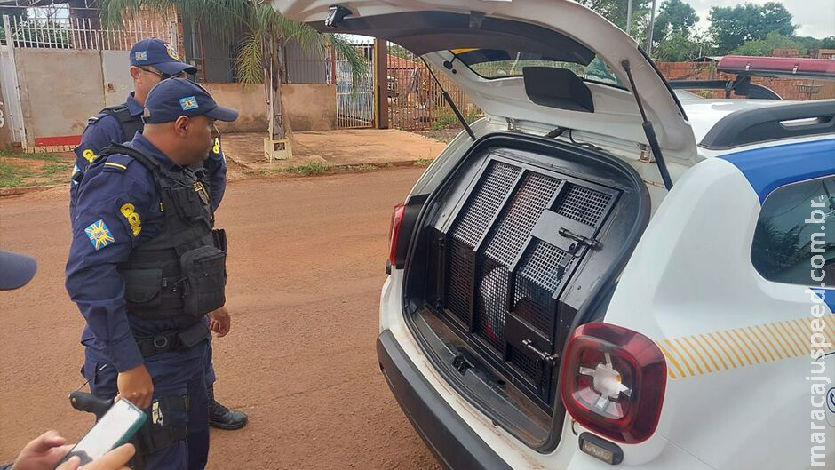 Homem é preso furtando comércio de queijos e pimentas em Anhanduí Homem é preso furtando comércio de queijos e pimentas em Anhanduí