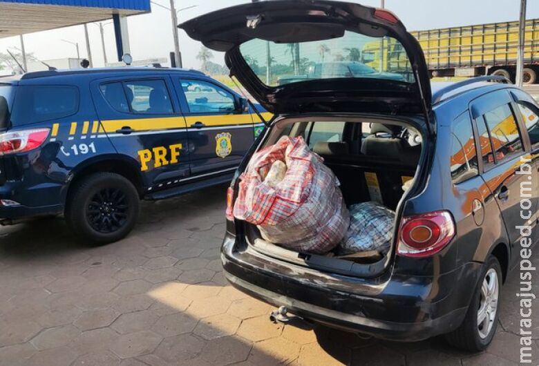 Homem é preso transportando quase 60 quilos de skunk na BR-267 Homem é preso transportando quase 60 quilos de skunk na BR-267