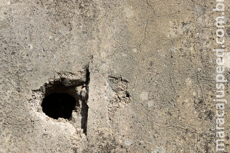 Homem faz diversos buracos em muro para mostrar pênis a vizinha Homem faz diversos buracos em muro para mostrar pênis a vizinha