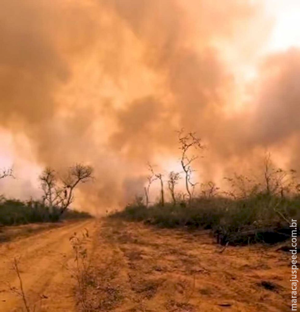 Incêndios florestais devastam o Chaco paraguaio e mobilizam autoridades Incêndios florestais devastam o Chaco paraguaio e mobilizam autoridades