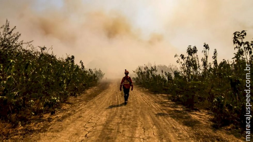 Incêndios já consumiram quase 2 milhões de hectares no Pantanal de MS Incêndios já consumiram quase 2 milhões de hectares no Pantanal de MS