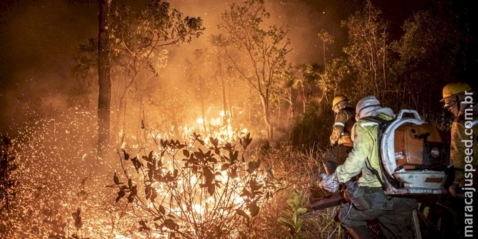 Monitoramento mostra que 99% dos incêndios são por ação humana Monitoramento mostra que 99% dos incêndios são por ação humana