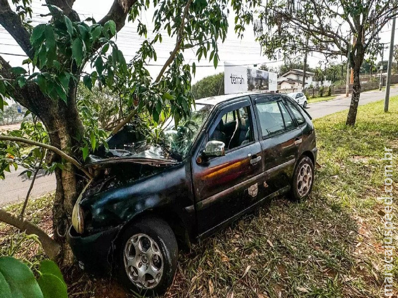 Motorista bate em árvore, após carro perder o freio na Rua Hiroshima Motorista bate em árvore, após carro perder o freio na Rua Hiroshima