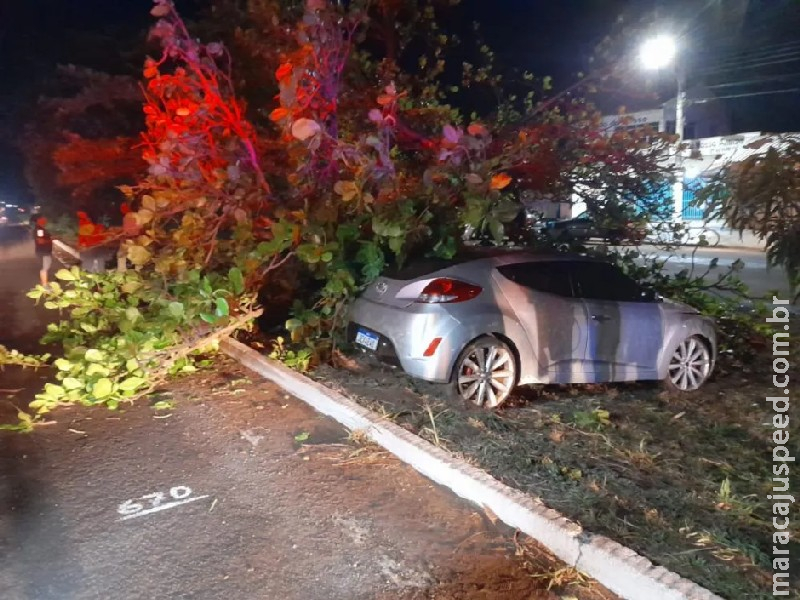 Motorista perde controle de carro e derruba árvore na BR-267, em Bataguassu Motorista perde controle de carro e derruba árvore na BR-267, em Bataguassu