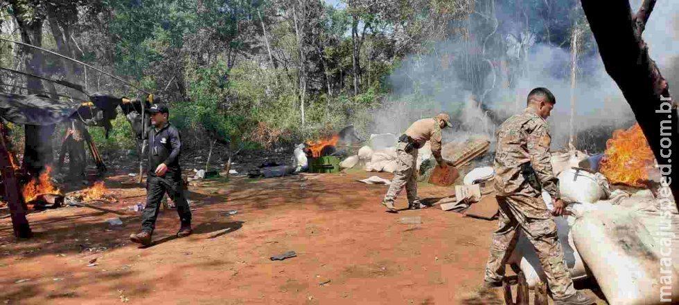Operação em roças clandestinas na fronteira com o MS elimina mais 8 de toneladas de maconha Operação em roças clandestinas na fronteira com o MS elimina mais 8 de toneladas de maconha
