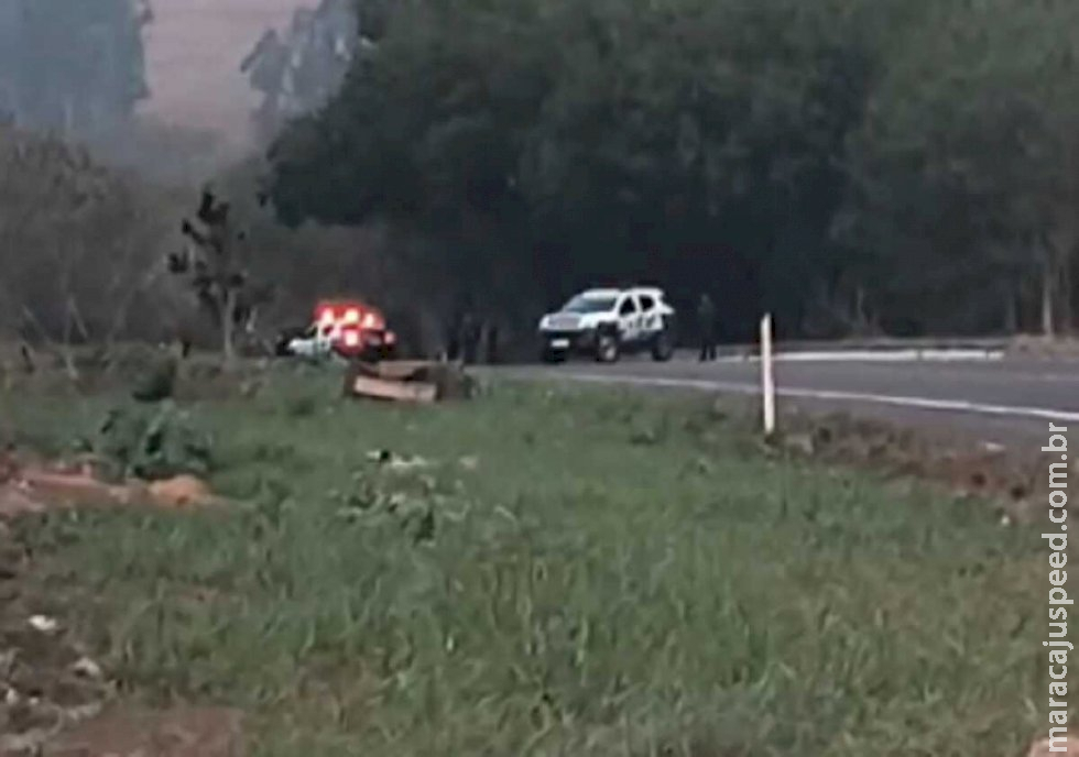 Ossada é encontrada em área de vegetação nas margens da rodovia BR-262 Ossada é encontrada em área de vegetação nas margens da rodovia BR-262