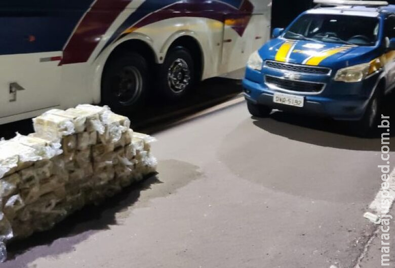Polícia apreende 210 Kg de cocaína em ônibus durante fiscalização na BR-267 Polícia apreende 210 Kg de cocaína em ônibus durante fiscalização na BR-267