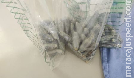 Preso por tráfico de drogas foge de hospital em Miranda, mas é recapturado após luta com a PM Preso por tráfico de drogas foge de hospital em Miranda, mas é recapturado após luta com a PM