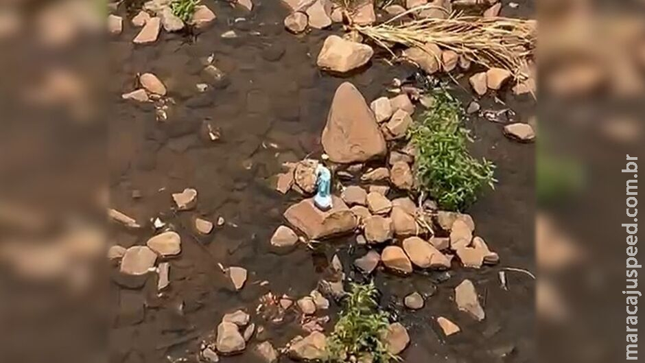 Reinado no Prosa: rainha do mar, Iemanjá é vista em córrego da Ernesto Geisel Reinado no Prosa: rainha do mar, Iemanjá é vista em córrego da Ernesto Geisel