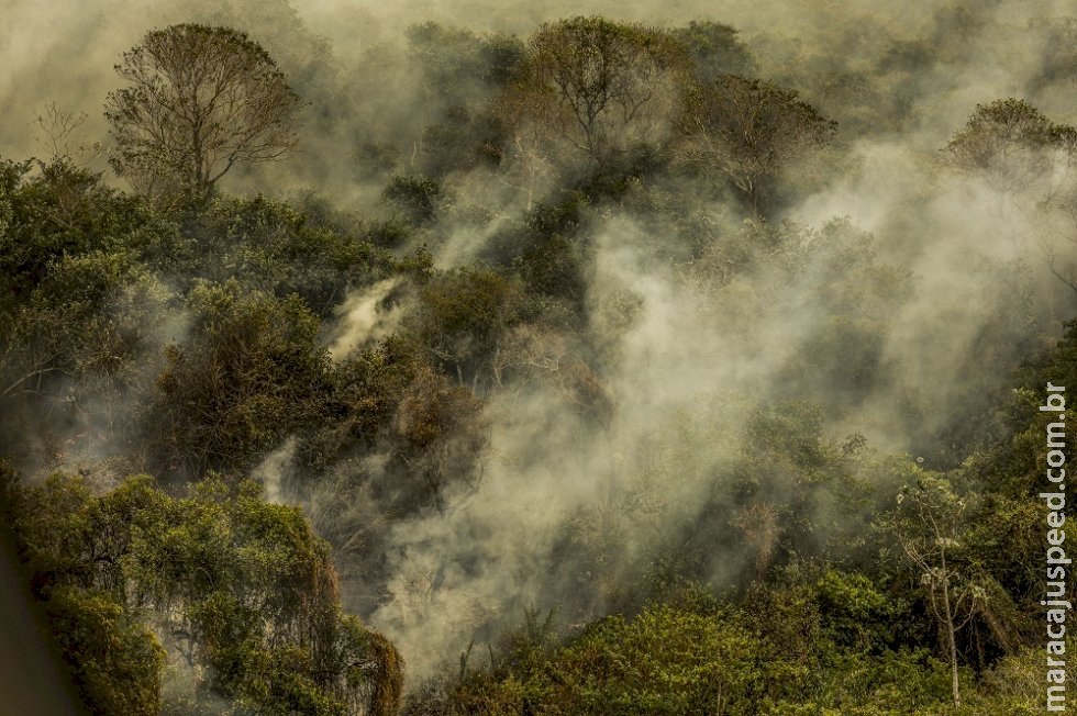 Subcomissão do Pantanal no Senado fará visita ao Mato Grosso para analisar os danos causados pelo fogo Subcomissão do Pantanal no Senado fará visita ao Mato Grosso para analisar os danos causados pelo fogo