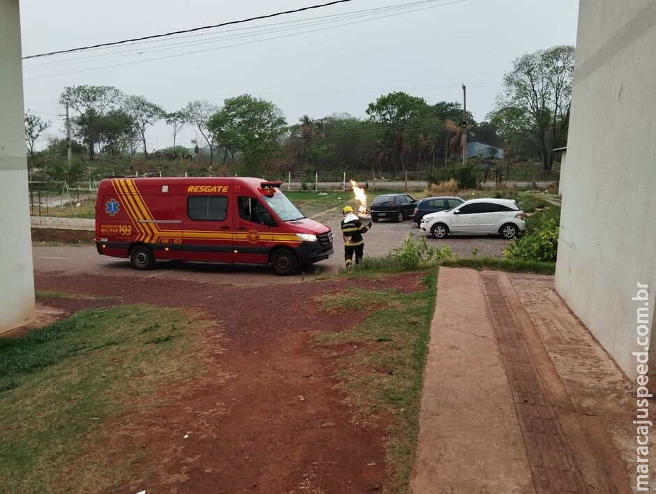 Botijão pega fogo, inicia princípio de incêndio e idosa acaba hospitalizada em Corumbá Botijão pega fogo, inicia princípio de incêndio e idosa acaba hospitalizada em Corumbá