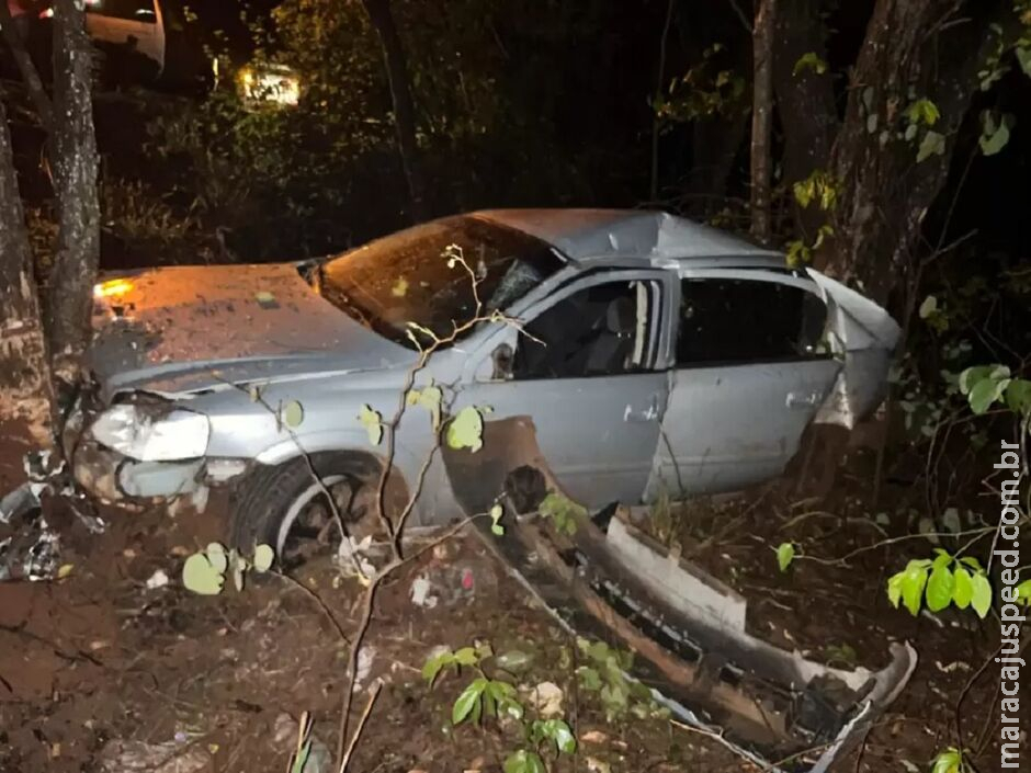 Carro fica destruído após bater em capivaras e cair em ribanceira em Paraíso das Águas Carro fica destruído após bater em capivaras e cair em ribanceira em Paraíso das Águas