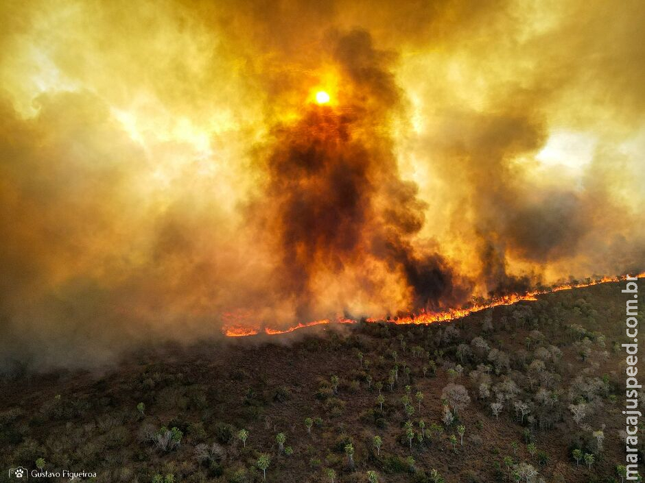 Desafios climáticos marcam aniversário de 47 anos de Mato Grosso do Sul Desafios climáticos marcam aniversário de 47 anos de Mato Grosso do Sul