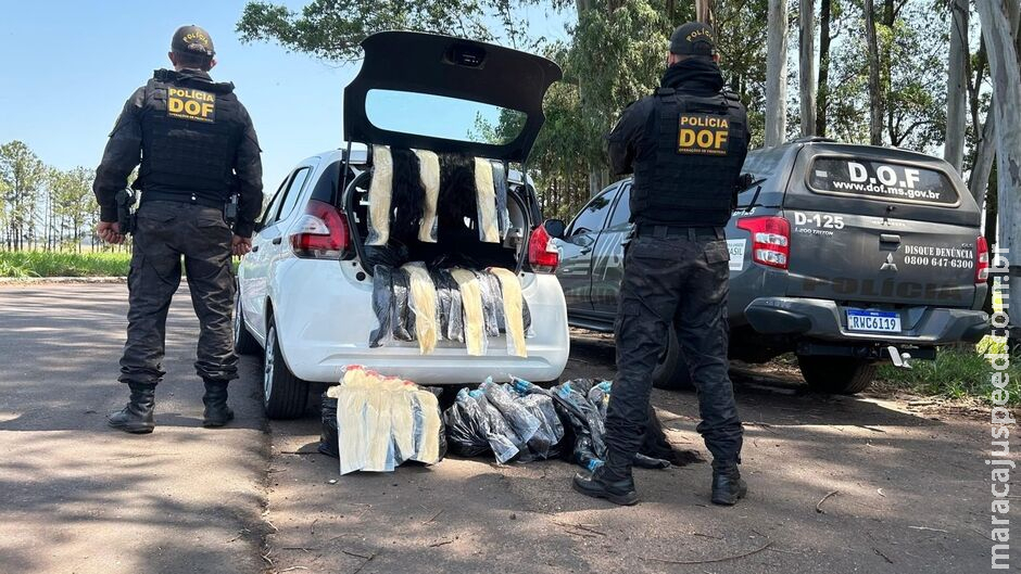 DOF apreende carga de cabelo humano avaliada em R$ 1,3 milhão em Ponta Porã DOF apreende carga de cabelo humano avaliada em R$ 1,3 milhão em Ponta Porã