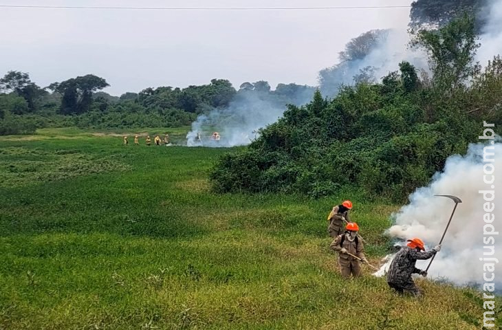 Em 12 dias, chuvas acima da média contribuem para controlar focos de incêndios no Pantanal de MS Em 12 dias, chuvas acima da média contribuem para controlar focos de incêndios no Pantanal de MS
