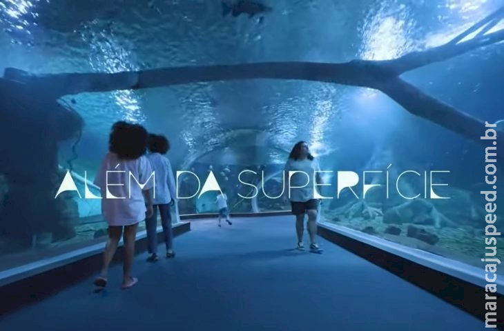 Filme sobre Bioparque Pantanal vence premiação em Festival Internacional de Cinema e Turismo Filme sobre Bioparque Pantanal vence premiação em Festival Internacional de Cinema e Turismo